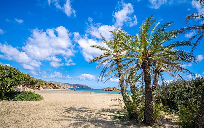 Discover Eastern Crete-Vai.jpg